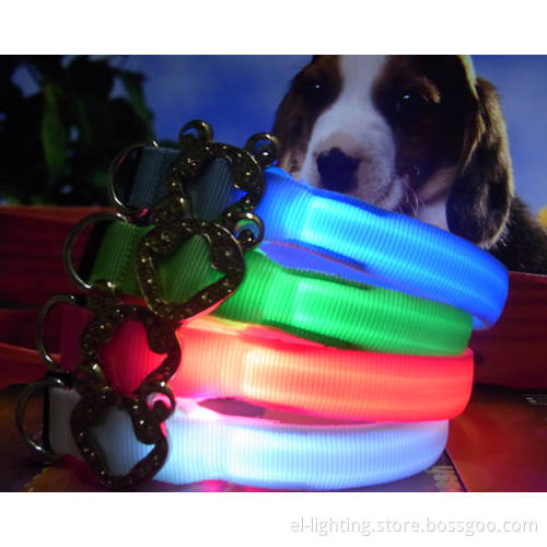 Pet Collar 1
